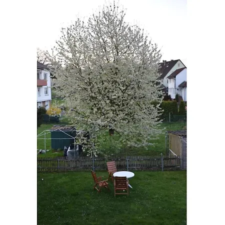 Appartement Am Rande Kassels *